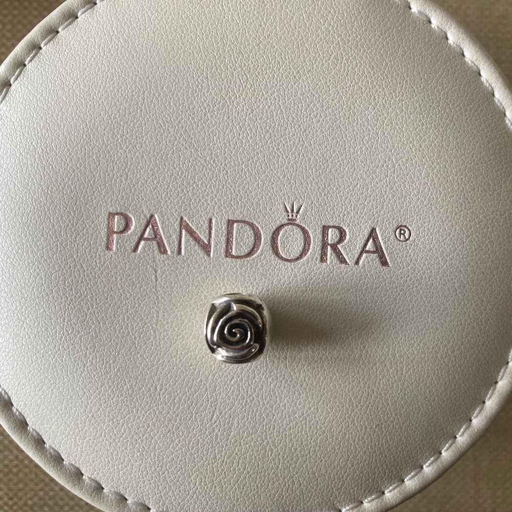 Pandora silver charm